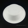 Biodegradable Disposable Cane Syrup Food Container Plates